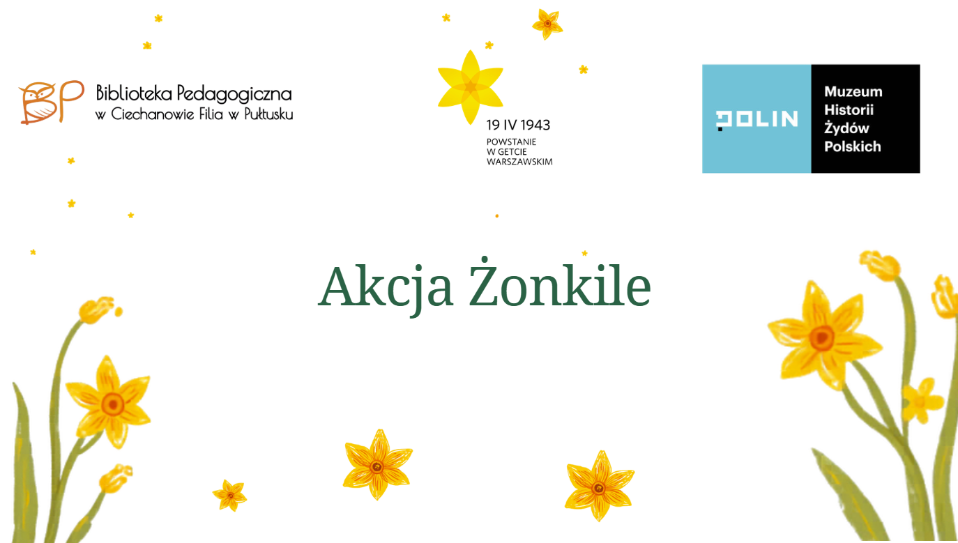 Grafika przedstawia estetyczny, minimalistyczny plakat promujący wydarzenie „Akcja Żonkile”. Tło jest jasne, w odcieniu szarości, a całość ozdobiona jest ilustracjami żółtych żonkili – zarówno większymi kwiatami przy krawędziach, jak i drobnymi, rozsianymi po całej kompozycji. W górnej części znajdują się: nazwa Biblioteki Pedagogicznej w Ciechanowie – Filia w Pułtusku wraz z logo, symboliczny żonkil oraz data „19 IV 1943” i napis odnoszący się do Powstanie w getcie warszawskim, logo Muzeum Historii Żydów Polskich POLIN. Centralnie umieszczony jest tytuł „Akcja Żonkile” zapisany dużą, elegancką czcionką w kolorze zielonym. Kompozycja jest spokojna i symboliczna – dominują w niej jasne barwy i motyw żonkili, które są znakiem pamięci o wydarzeniach historycznych. Całość ma charakter informacyjno-upamiętniający i buduje nastrój refleksji oraz pamięci.
