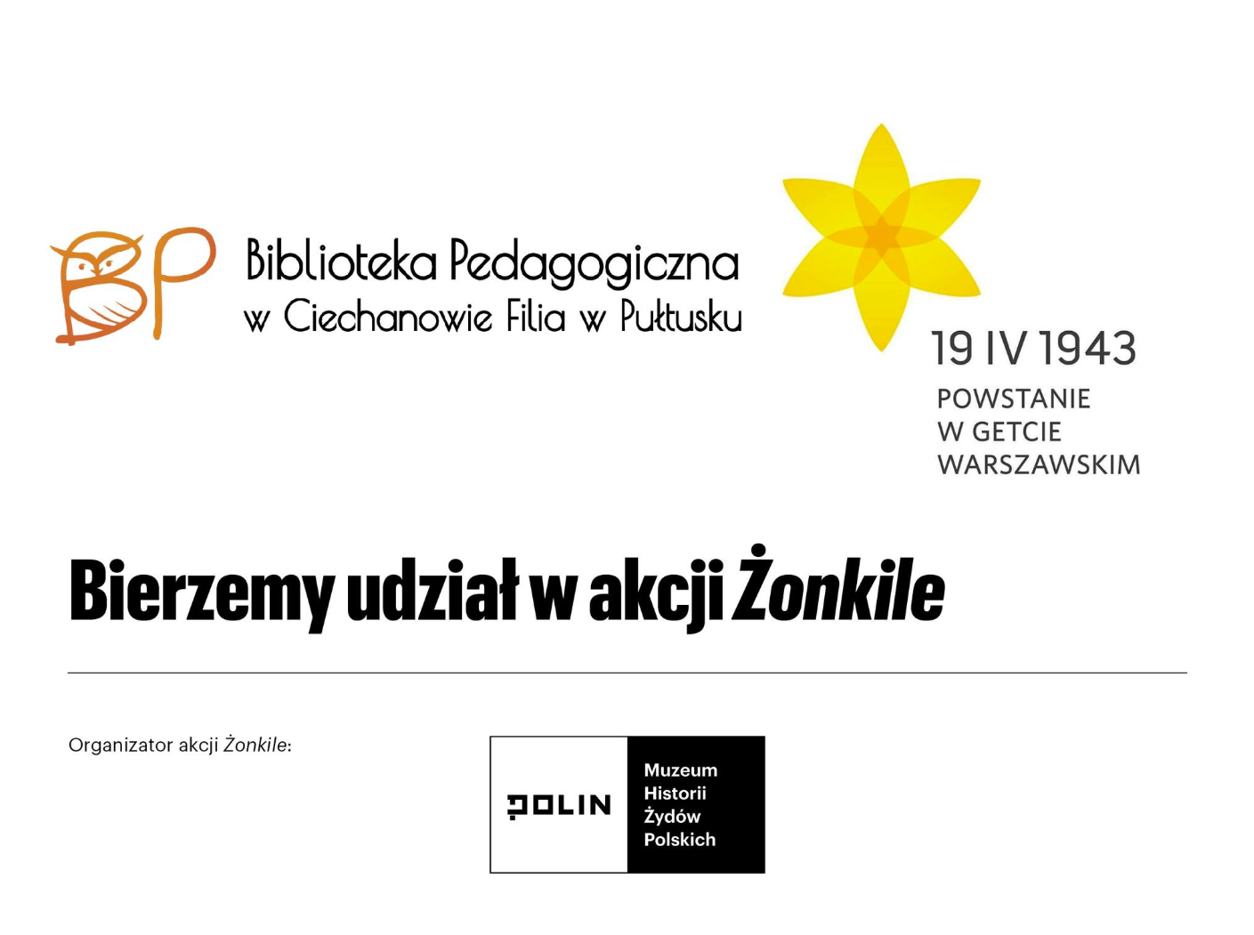 Na grafice widoczny jest plakat informacyjny przygotowany przez Biblioteka Pedagogiczna w Ciechanowie Filia w Pułtusku. W górnej części znajduje się logo biblioteki oraz charakterystyczny żółty żonkil – symbol pamięci o wydarzeniach historycznych. Obok umieszczono datę 19 IV 1943 oraz napis „Powstanie w getcie warszawskim”, co odnosi się do rocznicy wybuchu Powstanie w getcie warszawskim. Centralną część plakatu zajmuje duży, wyraźny napis: „Bierzemy udział w akcji Żonkile” – informujący o zaangażowaniu biblioteki w inicjatywę upamiętniającą to wydarzenie. Na dole znajduje się informacja o organizatorze akcji – Muzeum Historii Żydów Polskich POLIN wraz z jego logo. Całość utrzymana jest w prostej, czytelnej formie, z dominującą bielą, czernią i żółtym akcentem żonkila, co podkreśla powagę i symboliczny charakter przekazu.